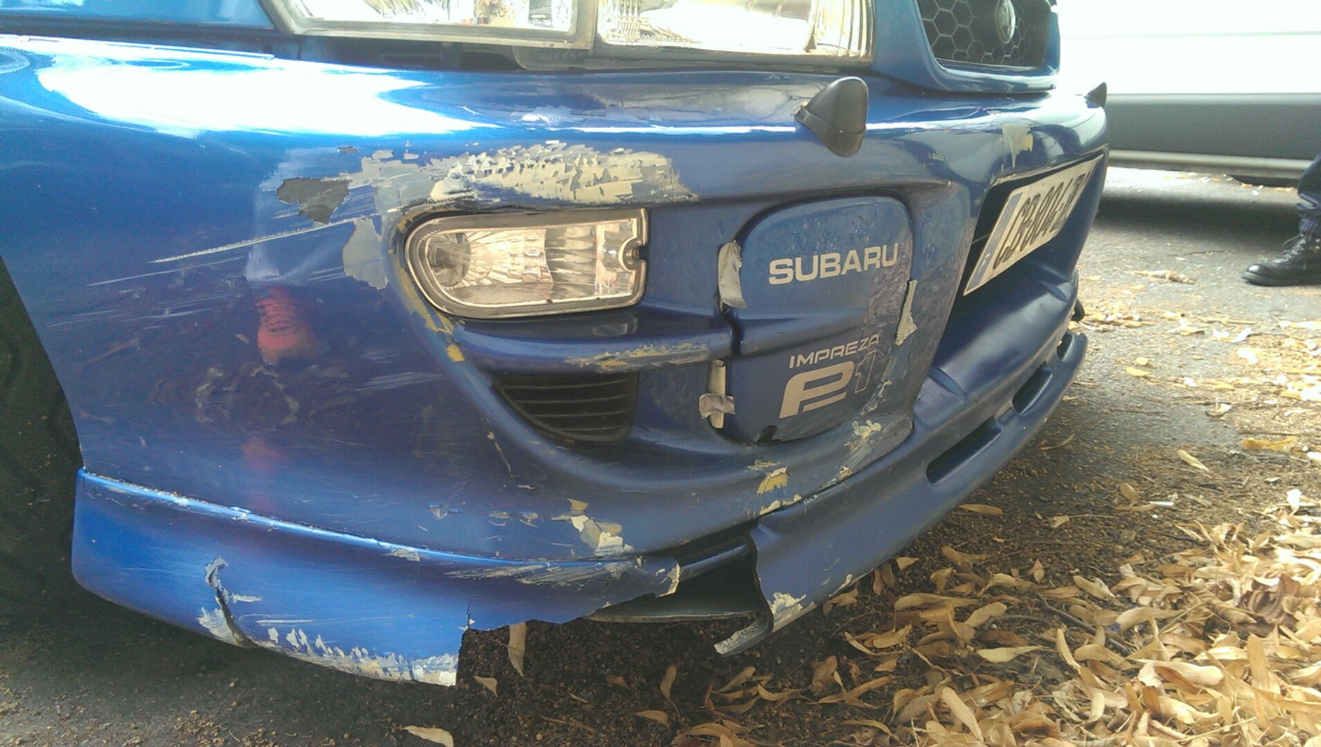 IMAG0164.jpg