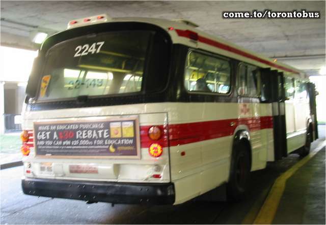 stcumTTC2247.jpg