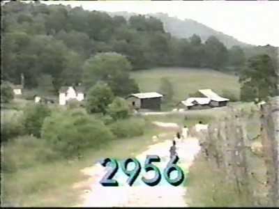 2956.jpg
