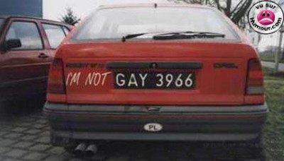 l-gay3966.jpg