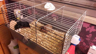 20170123_210632.jpg