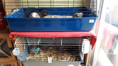 20170507_143451.jpg