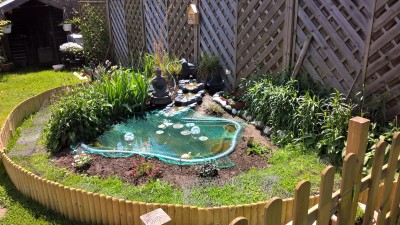 WP_20170520_12_50_09_Pro.jpg