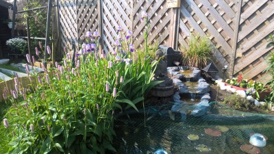 WP_20170524_09_43_01_Pro.jpg
