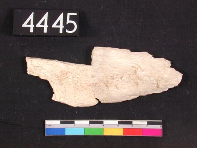 uc4445.jpg